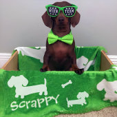 ダシュントフリースブランケットグパーソナライズされたリーン フリースブランケット