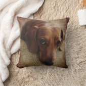 ダシュントポートレート装飾用クッション クッション (ブランケット)