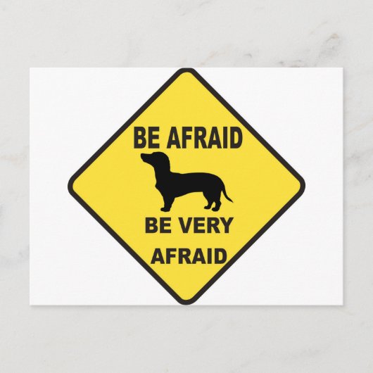 ダシュントユーモアのある犬 ポストカード (正面)