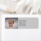 ダシュント住所 シール (インサイチュ)