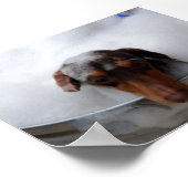 ダシュント入槽 ポスター (角)