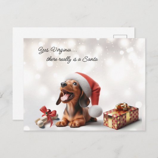 ダシュント子犬のクリスマスサプライズ ポストカード (正面/裏面)