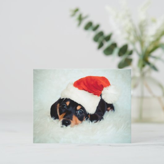 ダシュント子犬のクリスマス シーズンポストカード (スタンド正面)