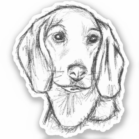 ダシュント子犬の白黒シンプルスケッチ シール (正面)