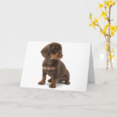 ダシュント子犬グリーティングカード カード (黄色い花)