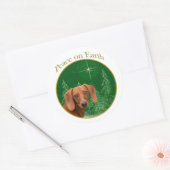 ダシュント平和オン・アース – ステッカー (封筒)