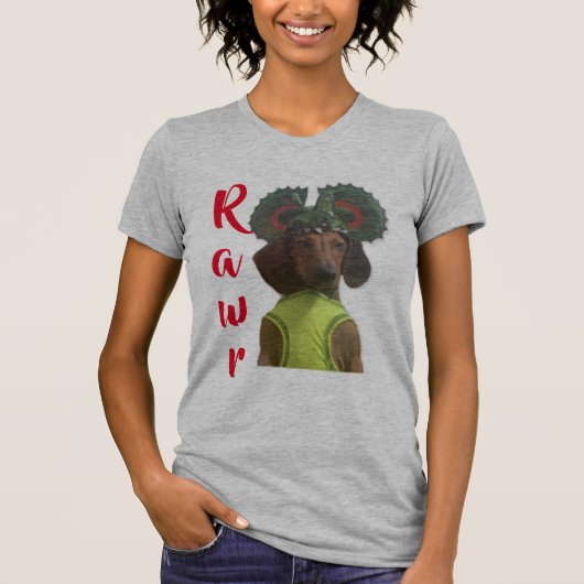 ダシュント恐竜 Tシャツ (正面)