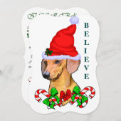 ダシュント愛好家のクリスマス シーズンカード (正面/裏面)