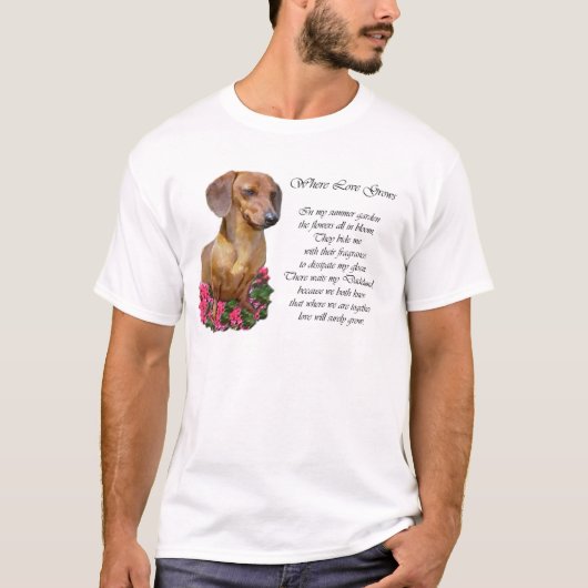 ダシュント愛好家への贈り物 Tシャツ (正面)