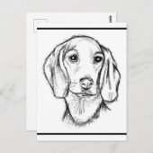 ダシュント手描きスケッチ白黒子犬 ポストカード (正面/裏面)