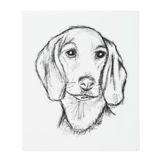 ダシュント手描きスケッチ白黒子犬 メタルプリント (正面)