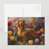 ダシュント春チューリップ絵を描ズ ポストカード (正面/裏面)