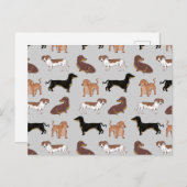 ダシュント犬のパターン ポストカード (正面/裏面)