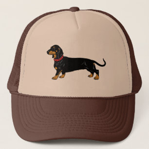 ダシュント犬の品種 キャップ