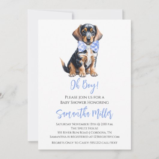 ダシュント男の赤ちゃんシャワー招待状 招待状 (正面)