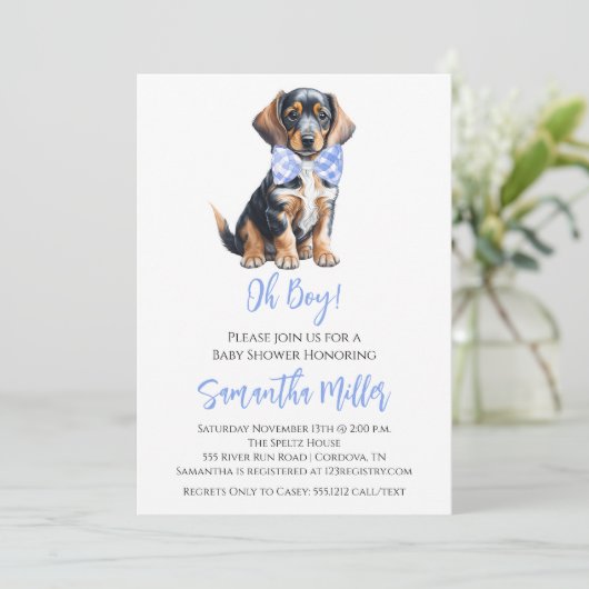 ダシュント男の赤ちゃんシャワー招待状 招待状 (スタンド正面)