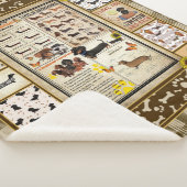 ダシュント知識毛布ギフト シェルパブランケット (3/4)