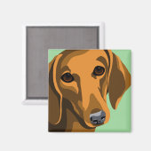 ダシュント磁石 マグネット (正面/裏面)