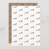 ダシュント紙 (正面/裏面)