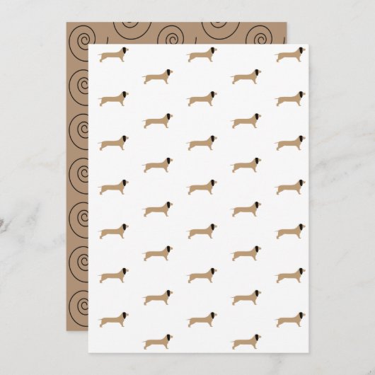 ダシュント紙 (正面/裏面)