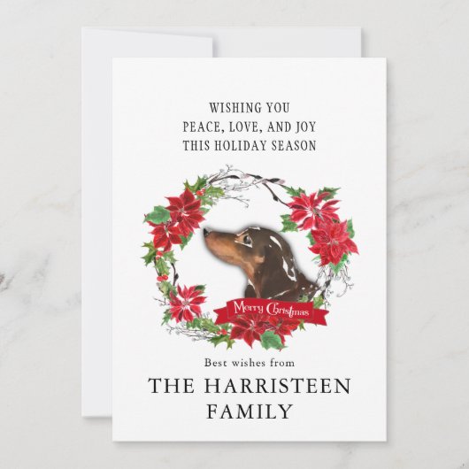 ダシュント茶色の水色ポインセチアのクリスマス シーズンカード (正面)