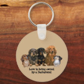 ダシュント集団キーチェーン キーホルダー (正面)