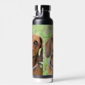 ダシュント ウォーターボトル (右面)