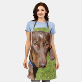 ダシュント エプロン