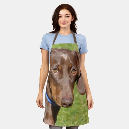 ダシュント エプロン (着用した状態)