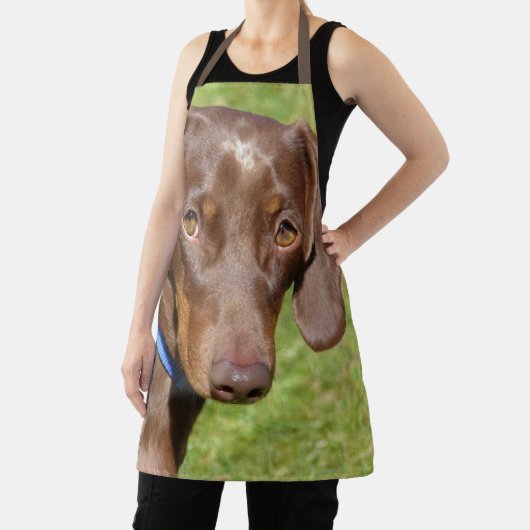 ダシュント エプロン (インサイチュ)