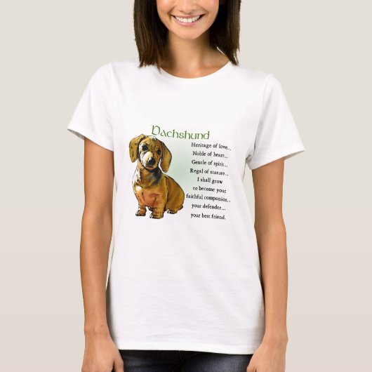 ダシュント・ギフト Tシャツ (正面)