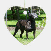 ダシュント・クリスマス セラミックオーナメント (裏面)