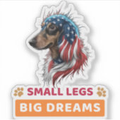 ダシュント シール (正面)