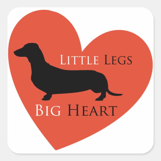 ダシュント スクエアシール (正面)