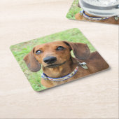 ダシュント スクエアペーパーコースター (アングル)