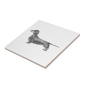 ダシュント タイル (側面)