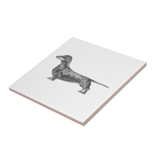 ダシュント タイル (側面)