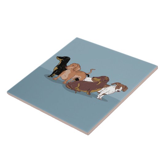 ダシュント タイル (側面)