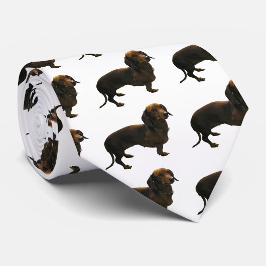 ダシュント ネクタイ (ロール)