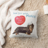 ダシュント・バレンタイン クッション (ブランケット)