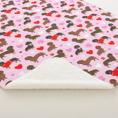 ダシュント・バレンタイン シェルパブランケット (3/4)