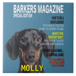 ダシュント・パロディ・マガジンカバー タイル