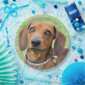 ダシュント ペーパープレート (パーティー)