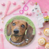 ダシュント ペーパープレート (パーティー)