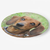 ダシュント ペーパープレート (アングル)