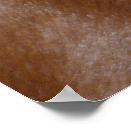 ダシュント ポスター (角)