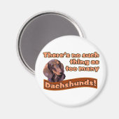 ダシュント マグネット (正面/裏面)