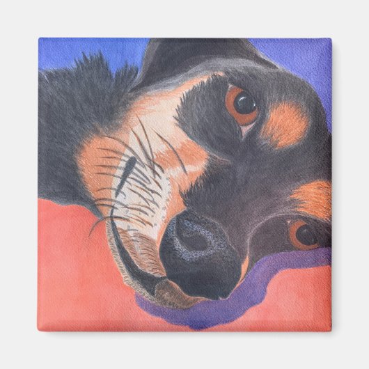 ダシュント マグネット (正面)