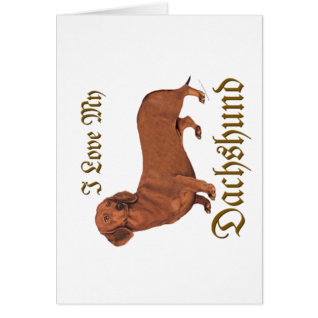 ダシュント・ラブ (正面)