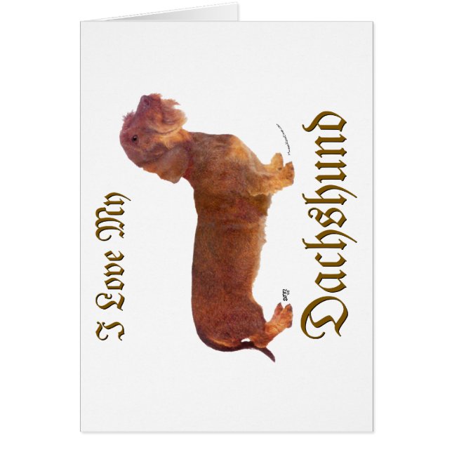 ダシュント・ラブ (正面)